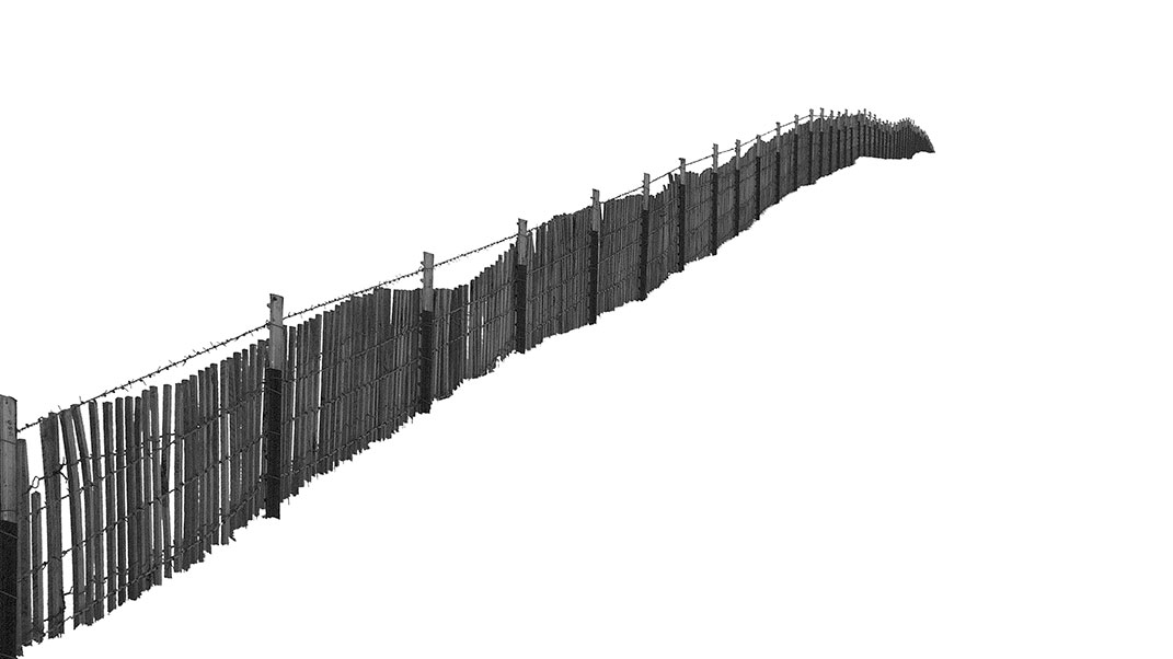 Snow Fence