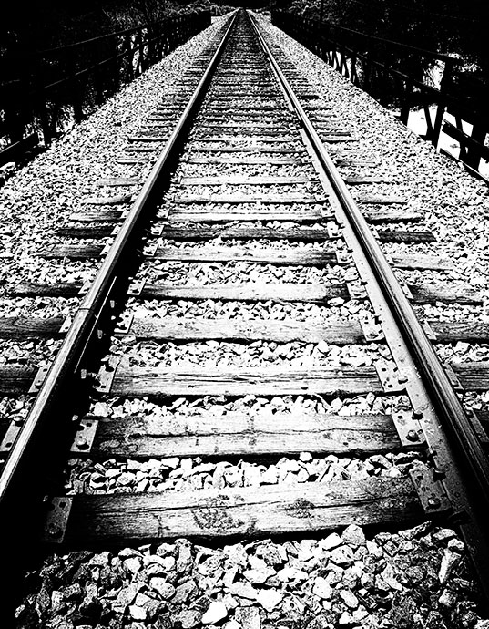 Tracks Along a Journey Not Yet Completed